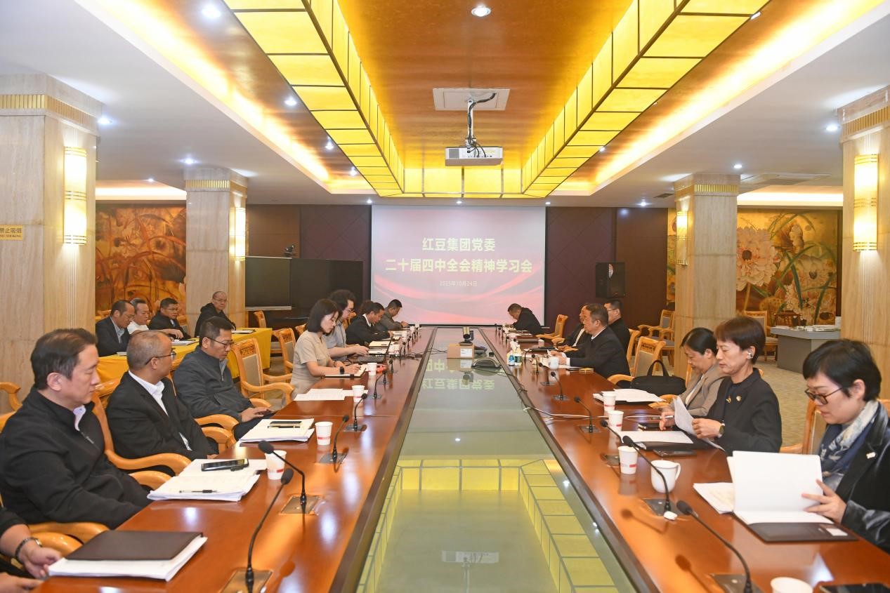 二十屆四中全會(huì)精神1